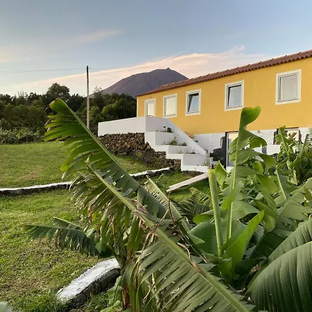 Casa Do Almance * Sao Joao (Pico Island)
