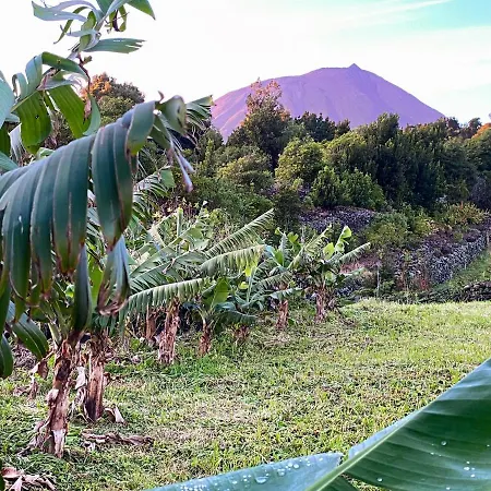 Prázdninový dům Casa Do Almance