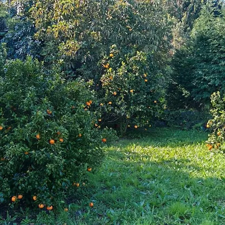 Casa Do Almance Casa vacanze *