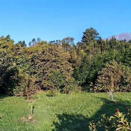 Vakantiehuis Casa Do Almance Sao Joao (Pico Island)