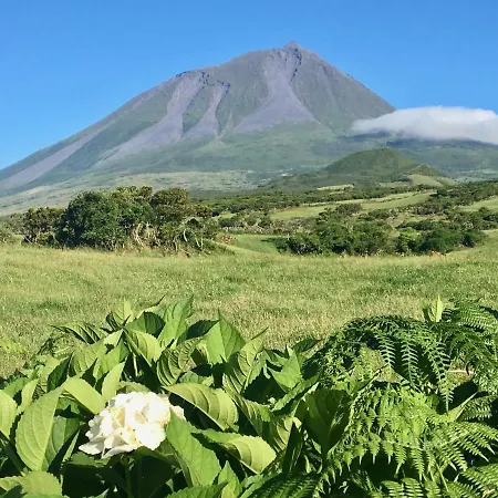 Casa Do Almance 別荘