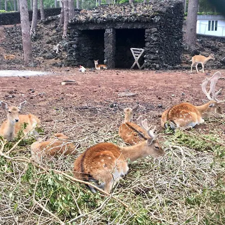 別荘 Casa Do Almance São João