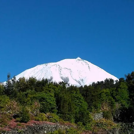 Casa Do Almance 別荘 *