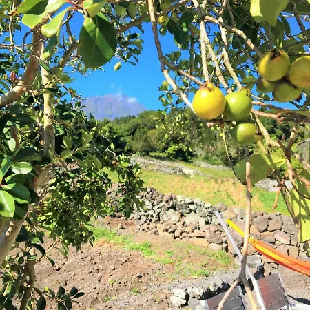 Prázdninový dům Casa Do Almance