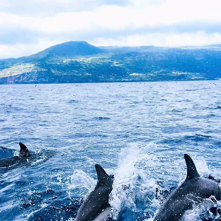 Casa Do Almance 別荘