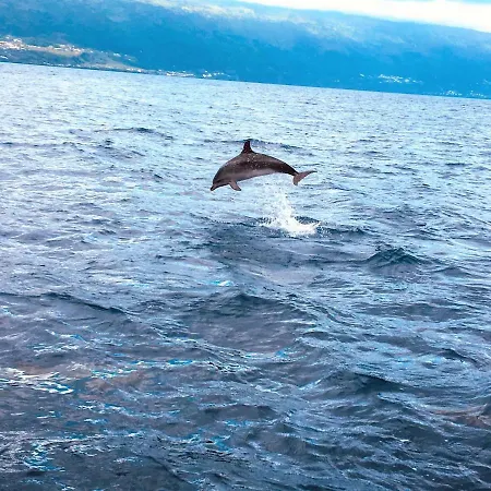 Casa Do Almance Nyaraló *