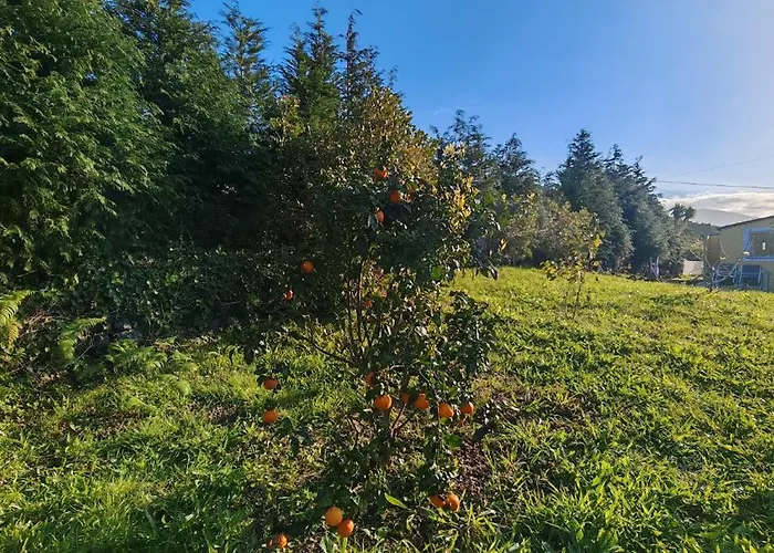 Casa Do Almance * Sao Joao (Pico Island)