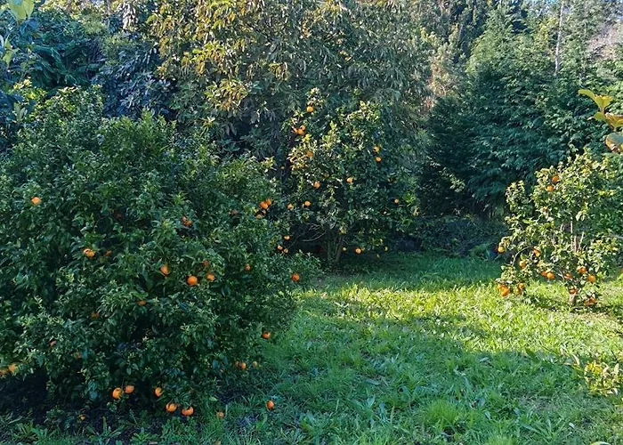 Casa Do Almance Casa vacanze *