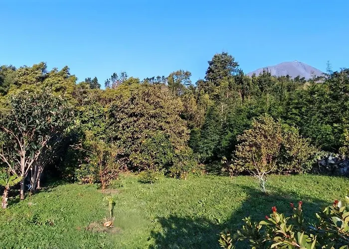 Casa vacanze Casa Do Almance Sao Joao (Pico Island)
