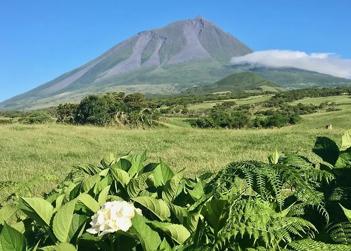 Casa Do Almance Dom wakacyjny
