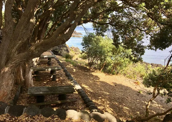 Casa Do Almance Dom wakacyjny Sao Joao (Pico Island)