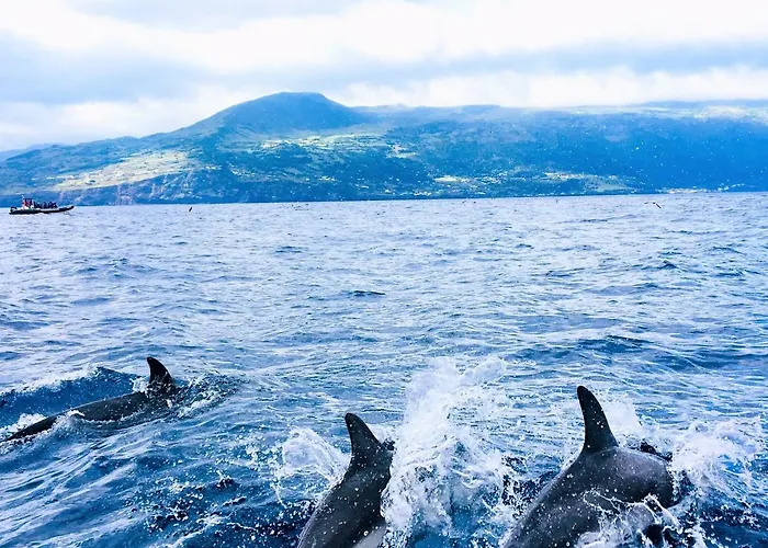 Casa Do Almance Casa vacanze