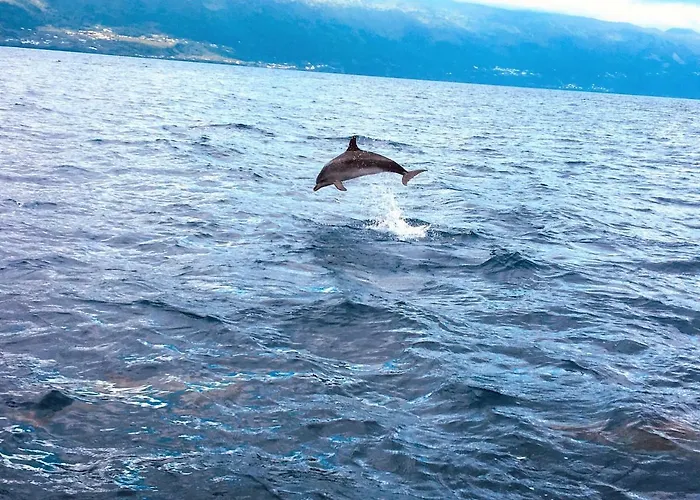 Casa Do Almance Casa vacanze *